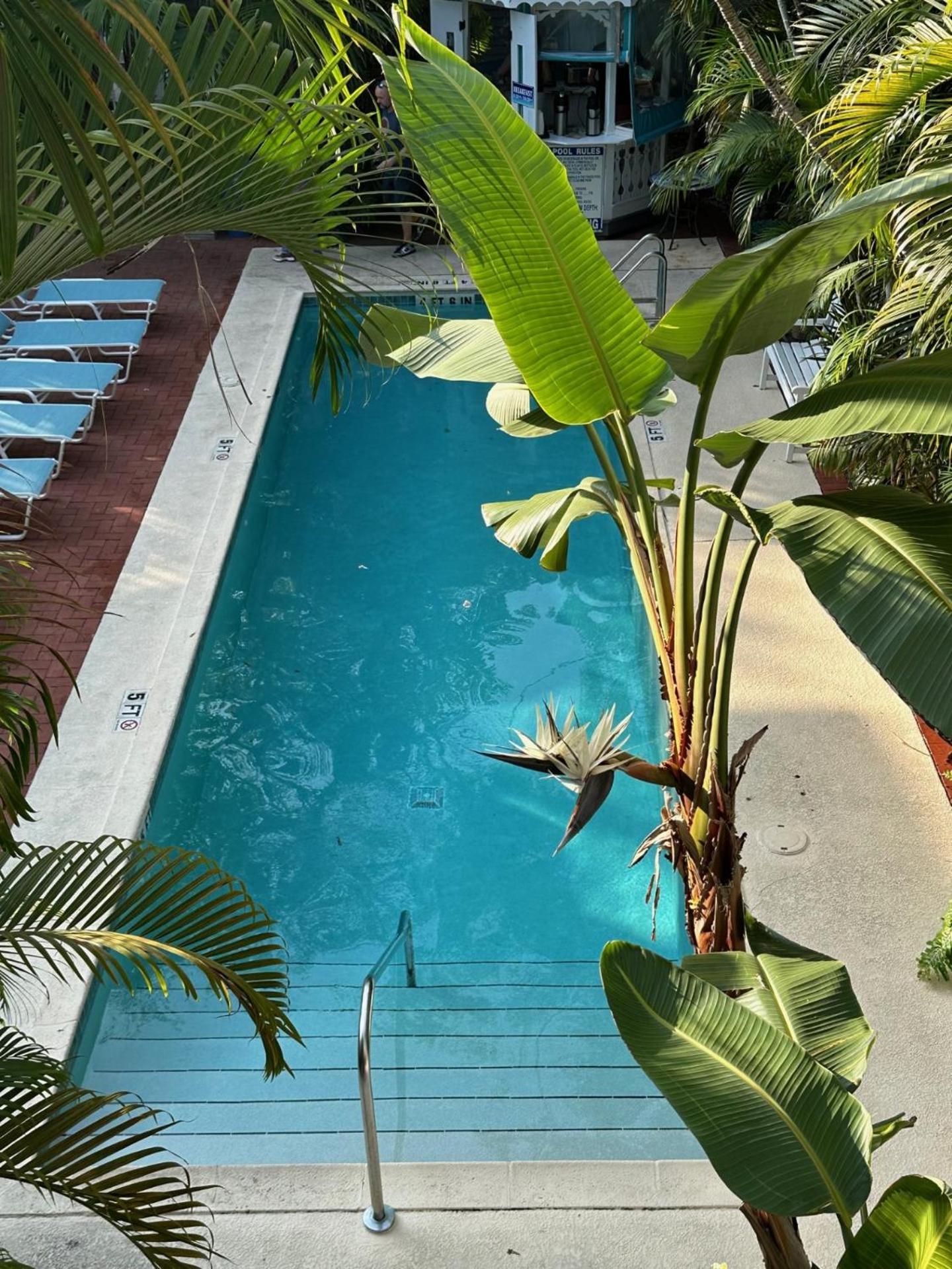Bed and Breakfast Ambrosia Key West Zewnętrze zdjęcie